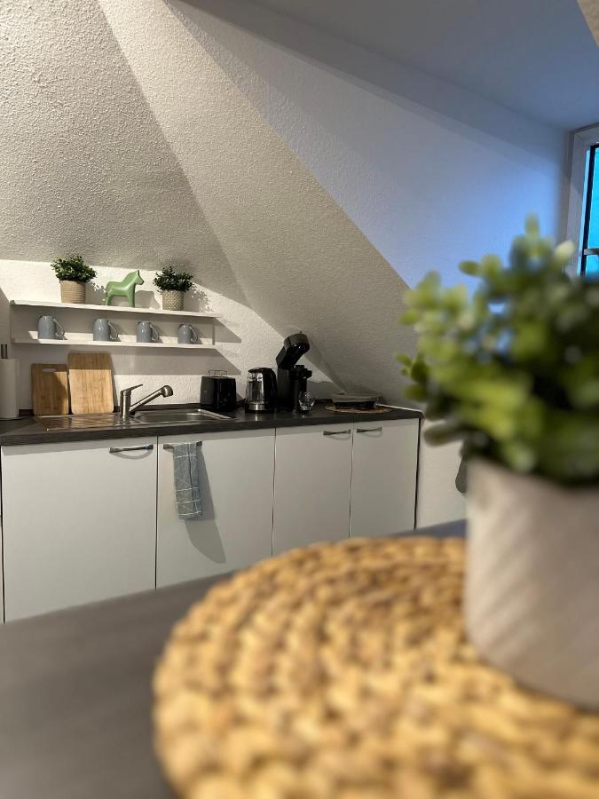 Oasis Appart - Wohnen Am Elbtal - Balkon - Netflix - Tiefgarage Drážďany Exteriér fotografie
