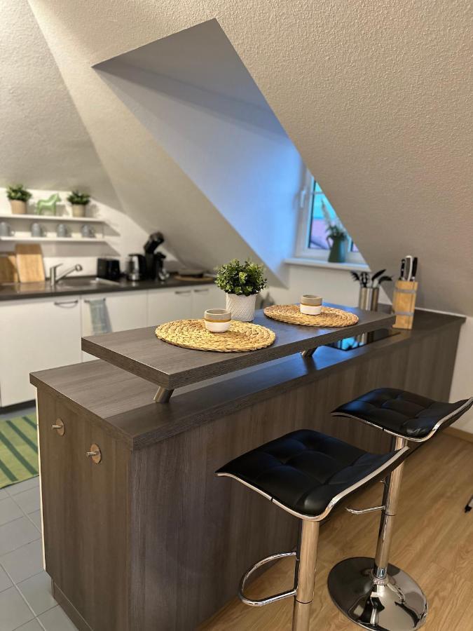 Oasis Appart - Wohnen Am Elbtal - Balkon - Netflix - Tiefgarage Drážďany Exteriér fotografie