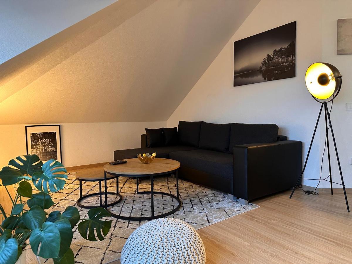 Oasis Appart - Wohnen Am Elbtal - Balkon - Netflix - Tiefgarage Drážďany Exteriér fotografie