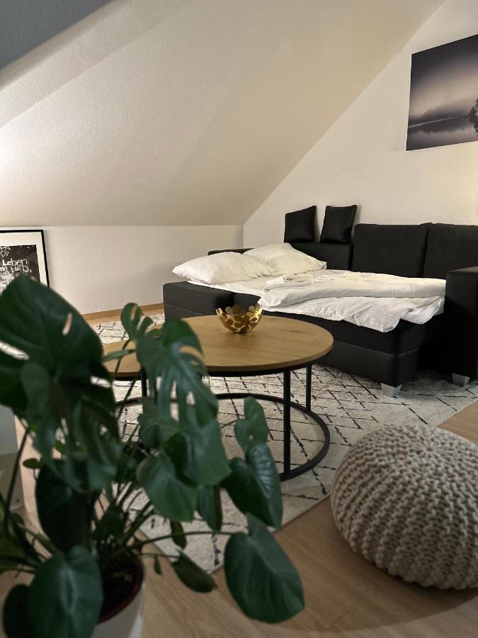 Oasis Appart - Wohnen Am Elbtal - Balkon - Netflix - Tiefgarage Drážďany Exteriér fotografie
